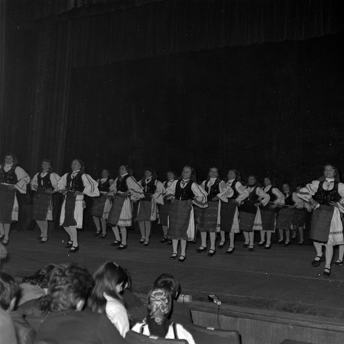 neidentificat|nem azonosított|not identified