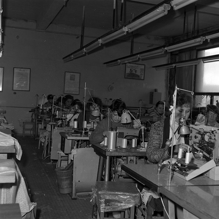 minerva_1986-1987_agrar_c9r2_003