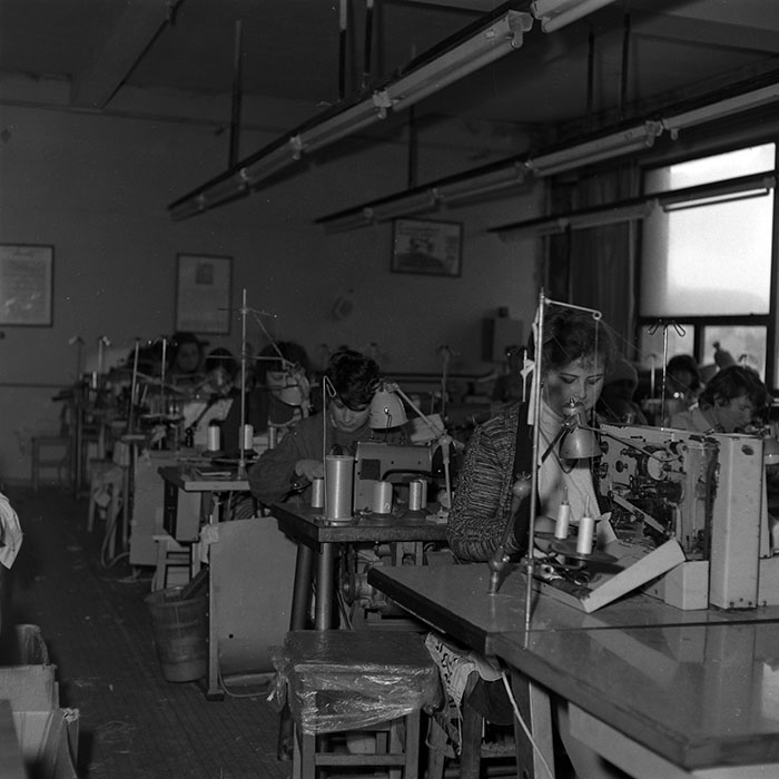 minerva_1986-1987_agrar_c9r2_004