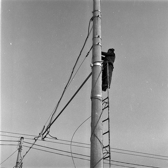 minerva_1986-1987_agrar_c9r4_007