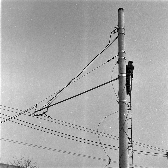 minerva_1986-1987_agrar_c9r4_008