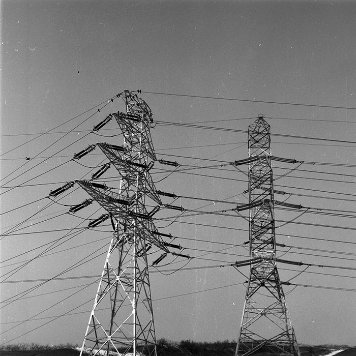 minerva_1986-1987_agrar_c9r4_019