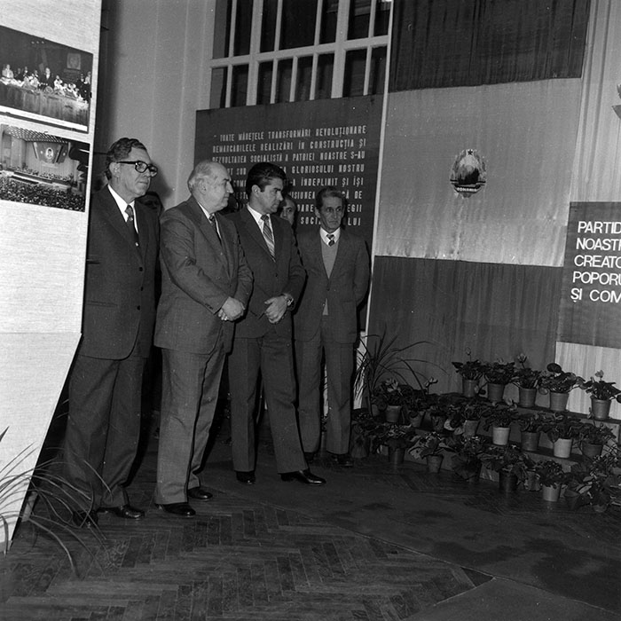 minerva_1986_c1_c10r1_046