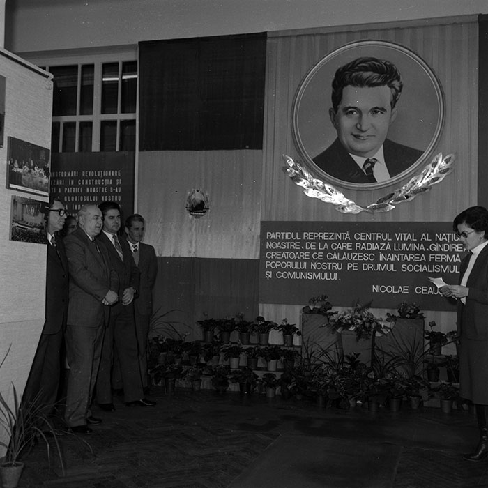 minerva_1986_c1_c10r1_048