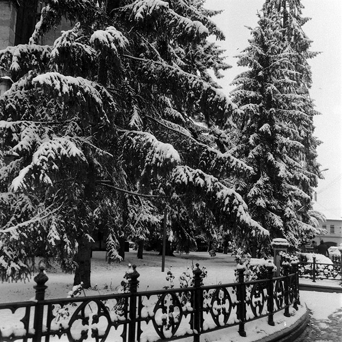 minerva_1986_c1_c10r5_001