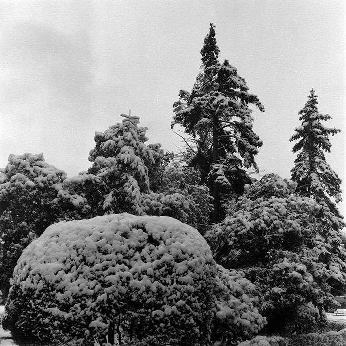 minerva_1986_c1_c10r5_002