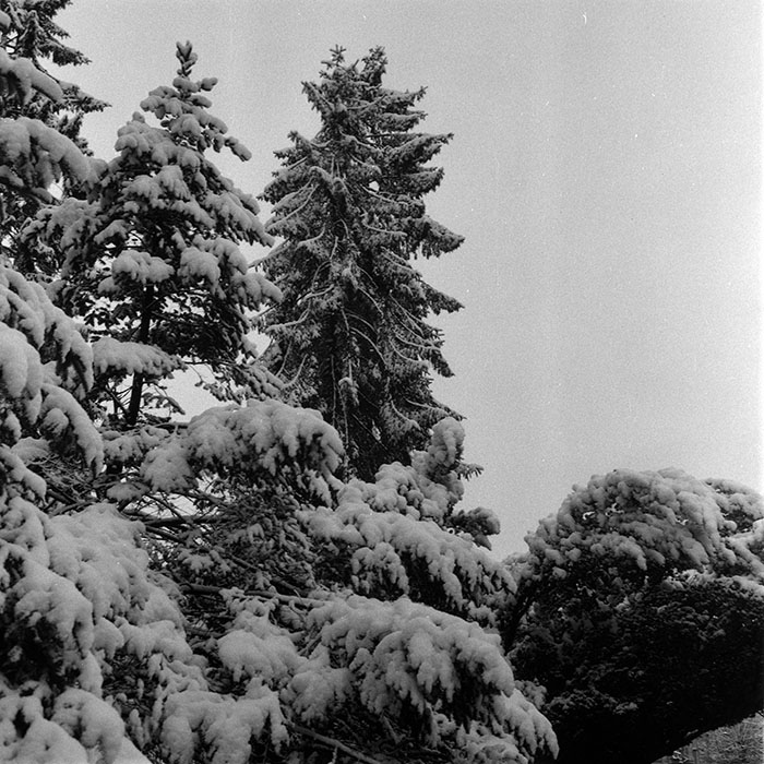 minerva_1986_c1_c10r5_003