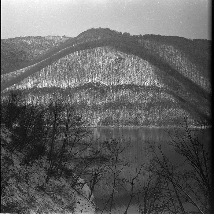 minerva_1986_c1_c10r5_014