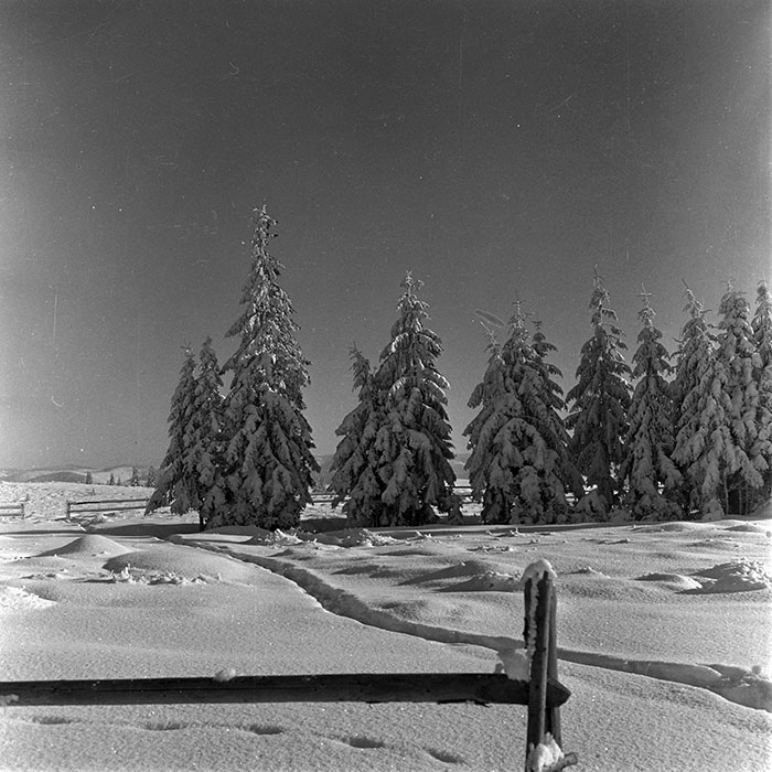 minerva_1986_c1_c10r5_021