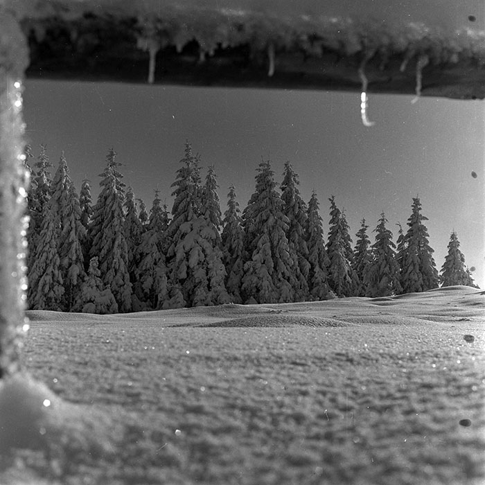 minerva_1986_c1_c10r5_022