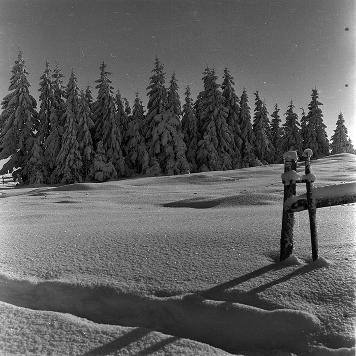 minerva_1986_c1_c10r5_024