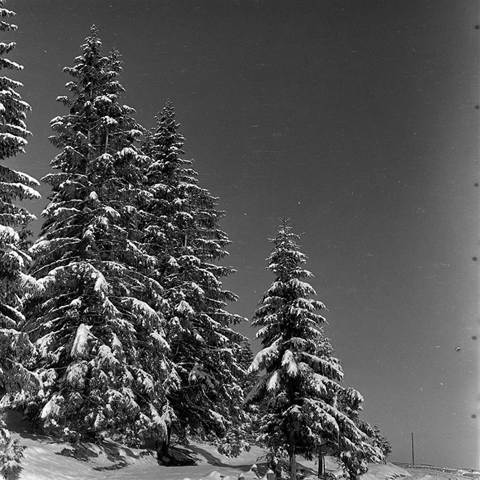 minerva_1986_c1_c10r5_027