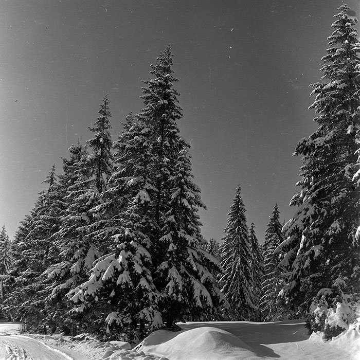 minerva_1986_c1_c10r5_028