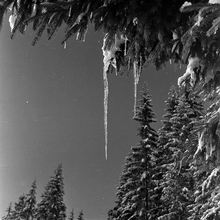 minerva_1986_c1_c10r5_029