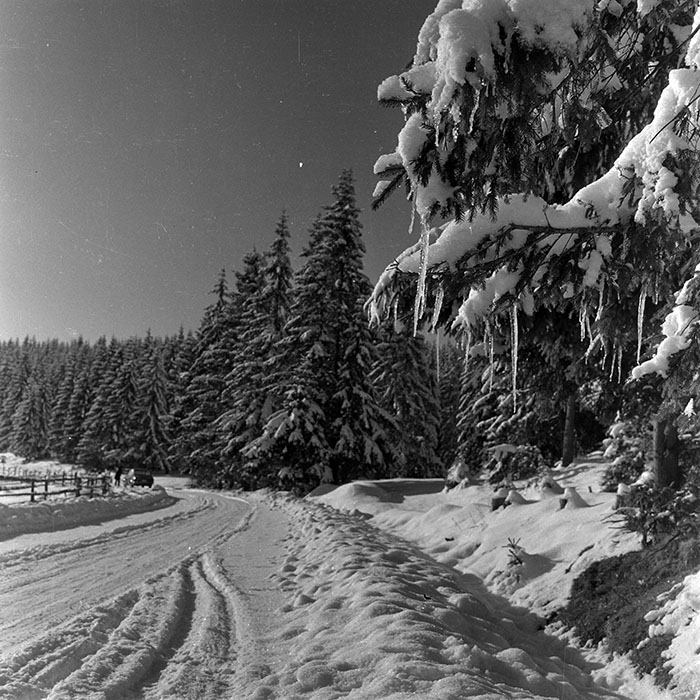 minerva_1986_c1_c10r5_031