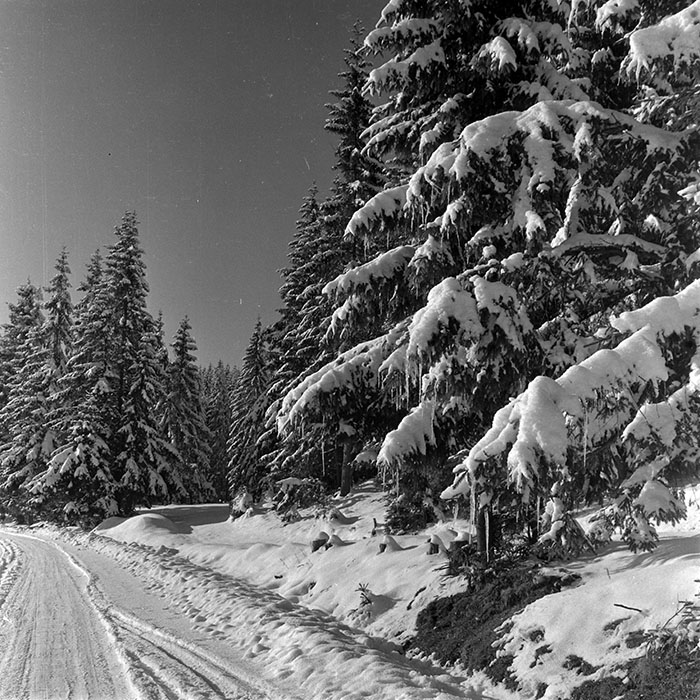 minerva_1986_c1_c10r5_032