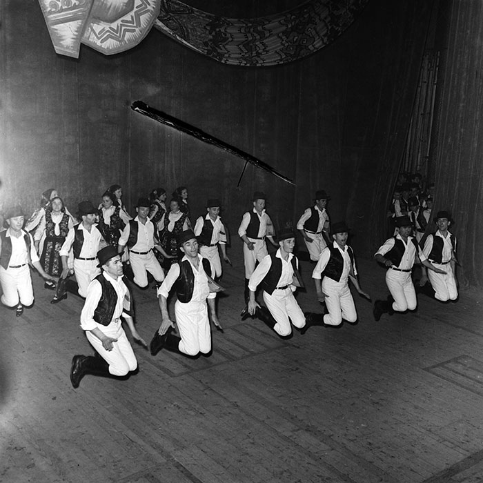 minerva_1986_c1_c1r1_019