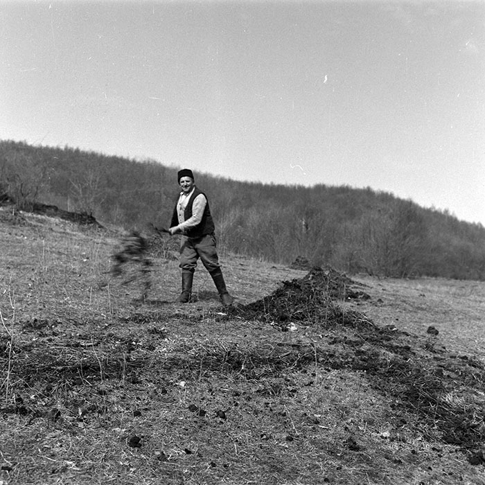 minerva_1986_c1_c2r5_006