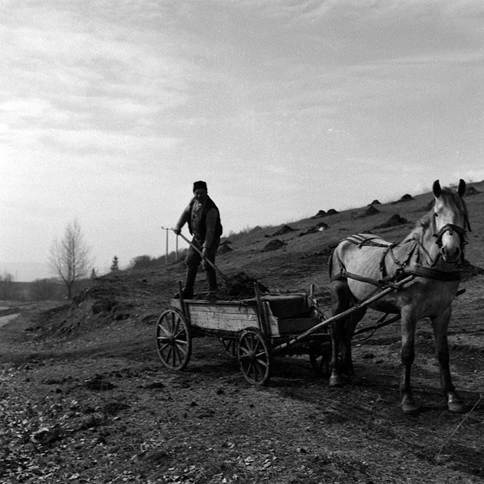 minerva_1986_c1_c2r5_007