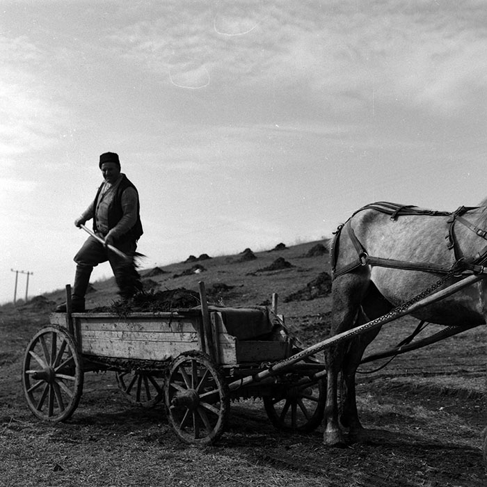 minerva_1986_c1_c2r5_008