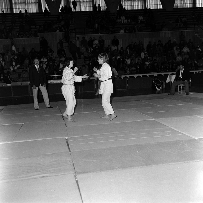 minerva_1986_c1_c4r2_037