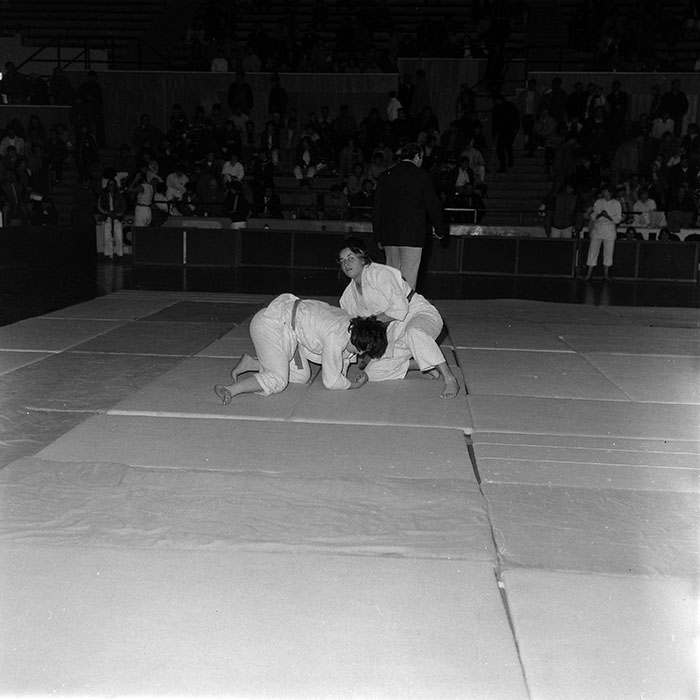 minerva_1986_c1_c4r2_038