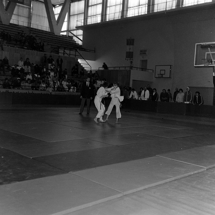 minerva_1986_c1_c4r2_047