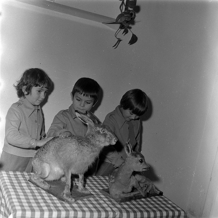 minerva_1986_c1_c4r5_008