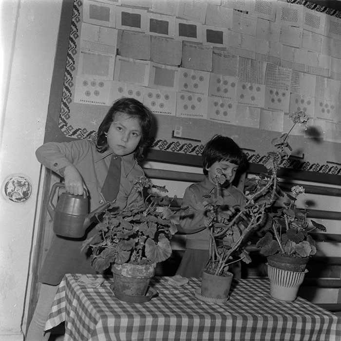 minerva_1986_c1_c4r5_010