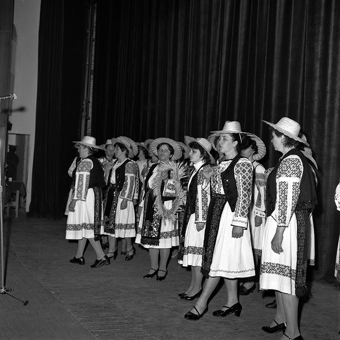 minerva_1986_c1_c5r5_008