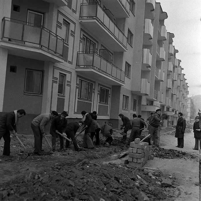 minerva_1986_c1_c6r2_004