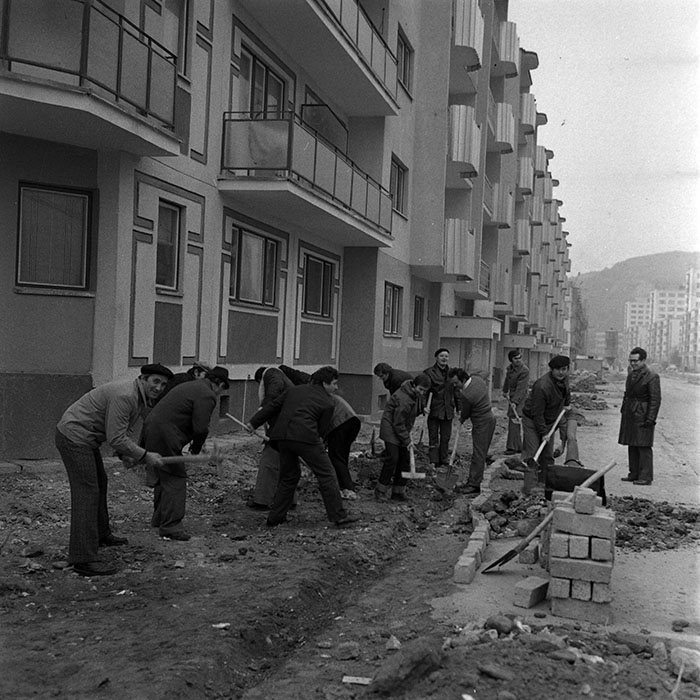 minerva_1986_c1_c6r2_005