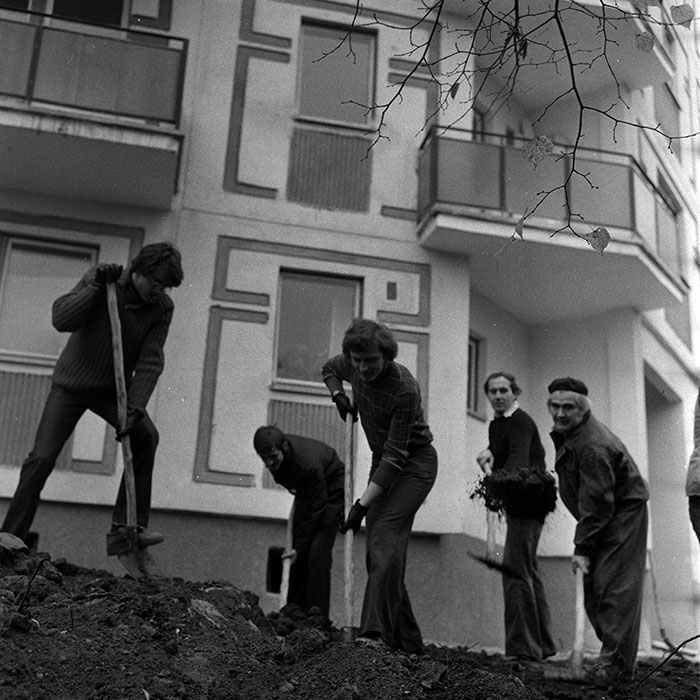 minerva_1986_c1_c6r2_006