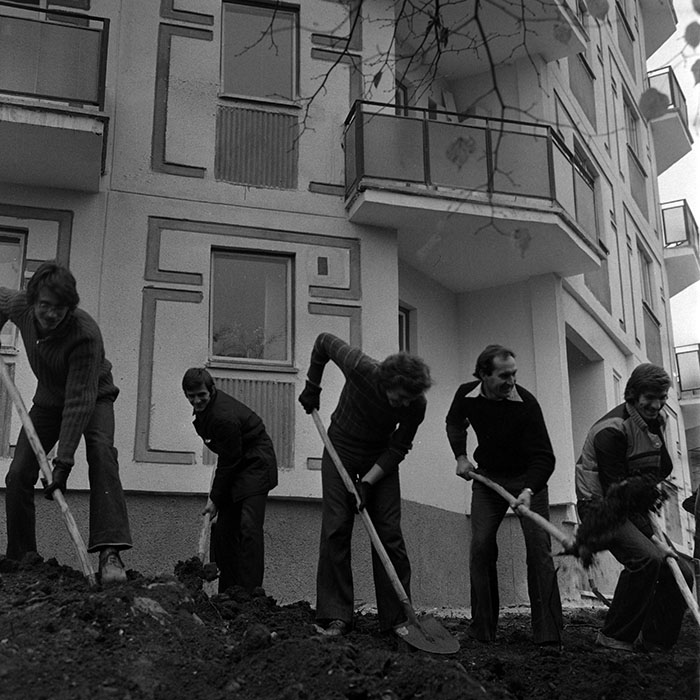 minerva_1986_c1_c6r2_007