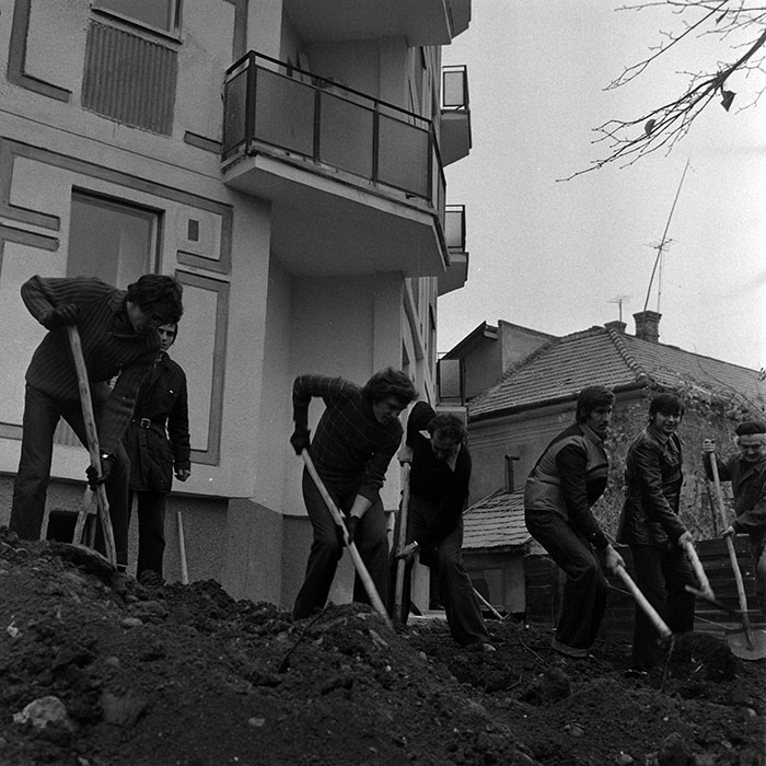 minerva_1986_c1_c6r2_008