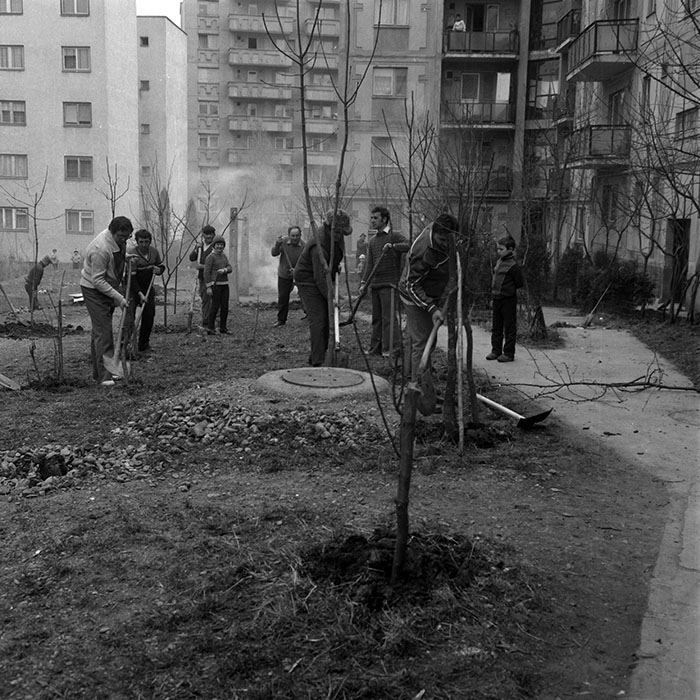 minerva_1986_c1_c6r2_009