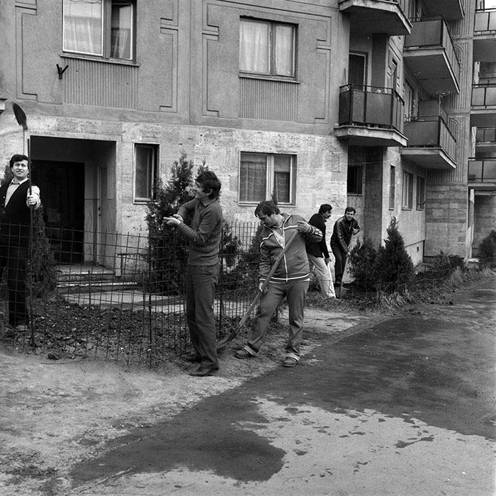 minerva_1986_c1_c6r2_011