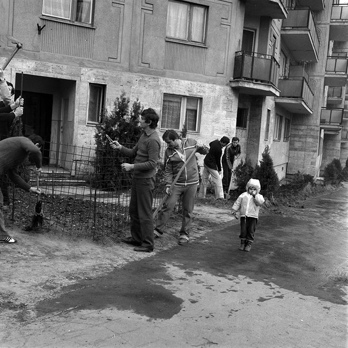 minerva_1986_c1_c6r2_013