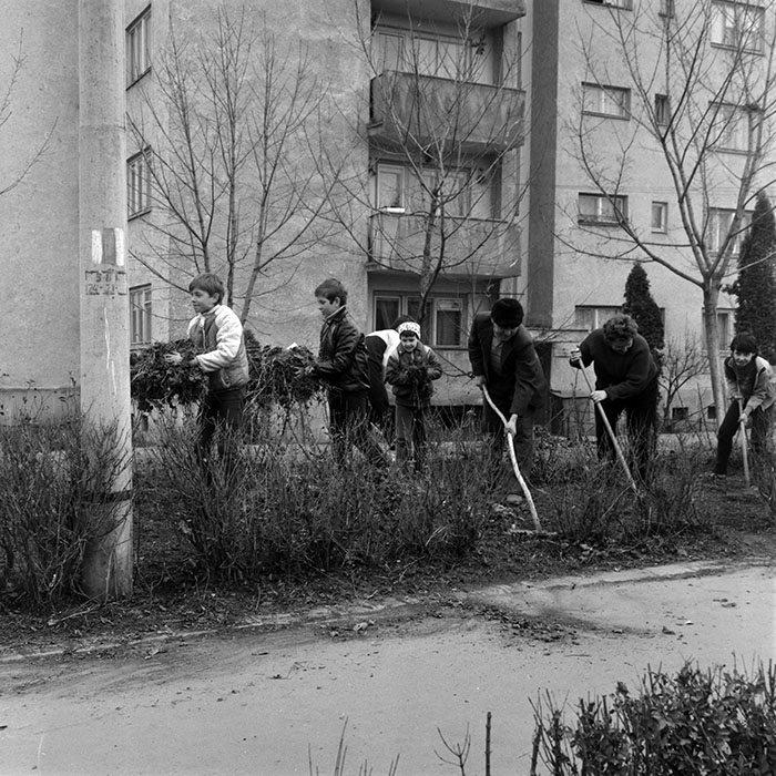 minerva_1986_c1_c6r2_015