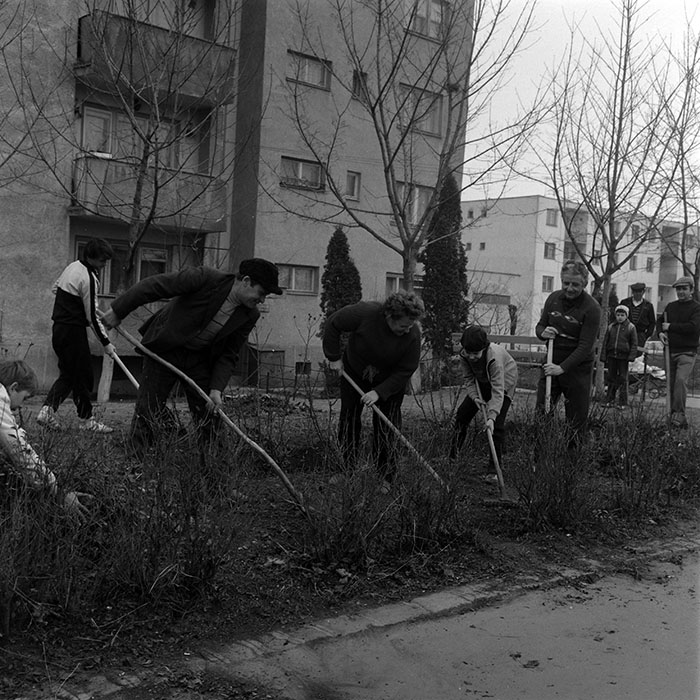 minerva_1986_c1_c6r2_016