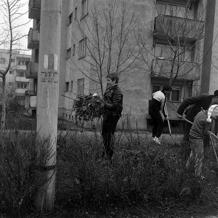 minerva_1986_c1_c6r2_017