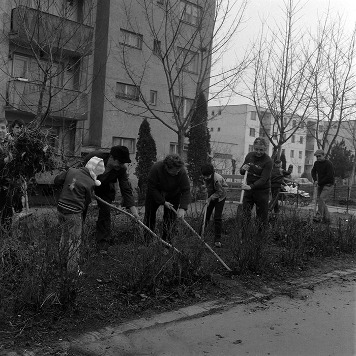 minerva_1986_c1_c6r2_018