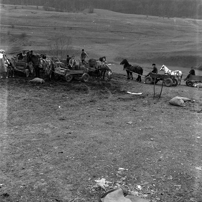 minerva_1986_c1_c6r2_019