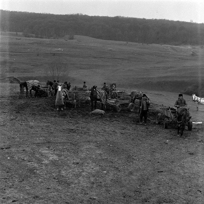 minerva_1986_c1_c6r2_020