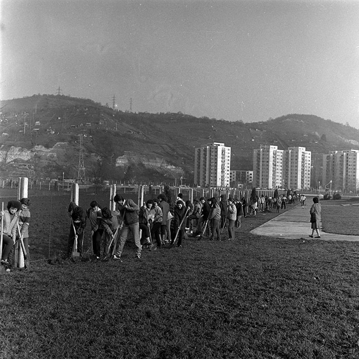 minerva_1986_c1_c6r2_021