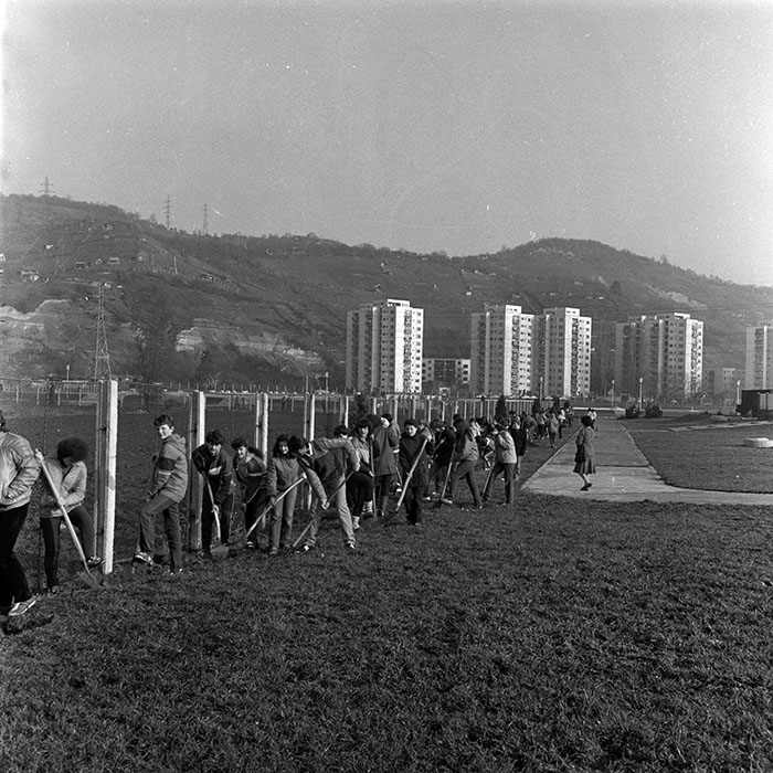 minerva_1986_c1_c6r2_022