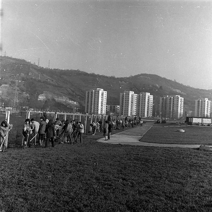 minerva_1986_c1_c6r2_023