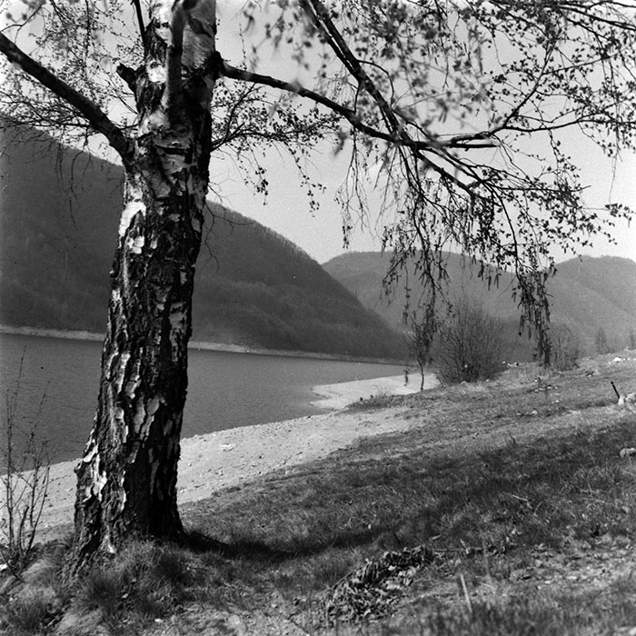 minerva_1986_c1_c6r4_001