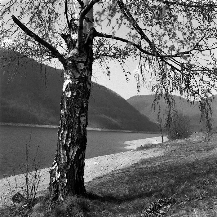 minerva_1986_c1_c6r4_002