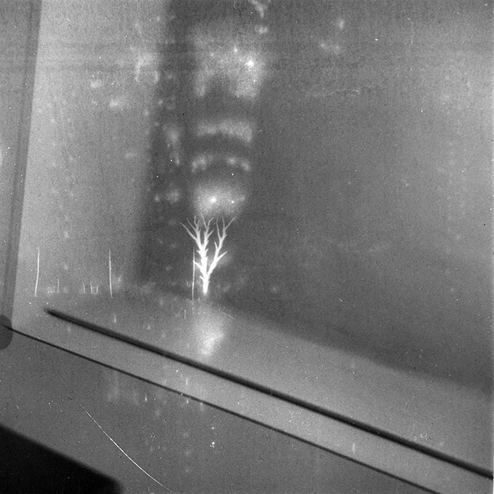 minerva_1986_c1_c7r2_001